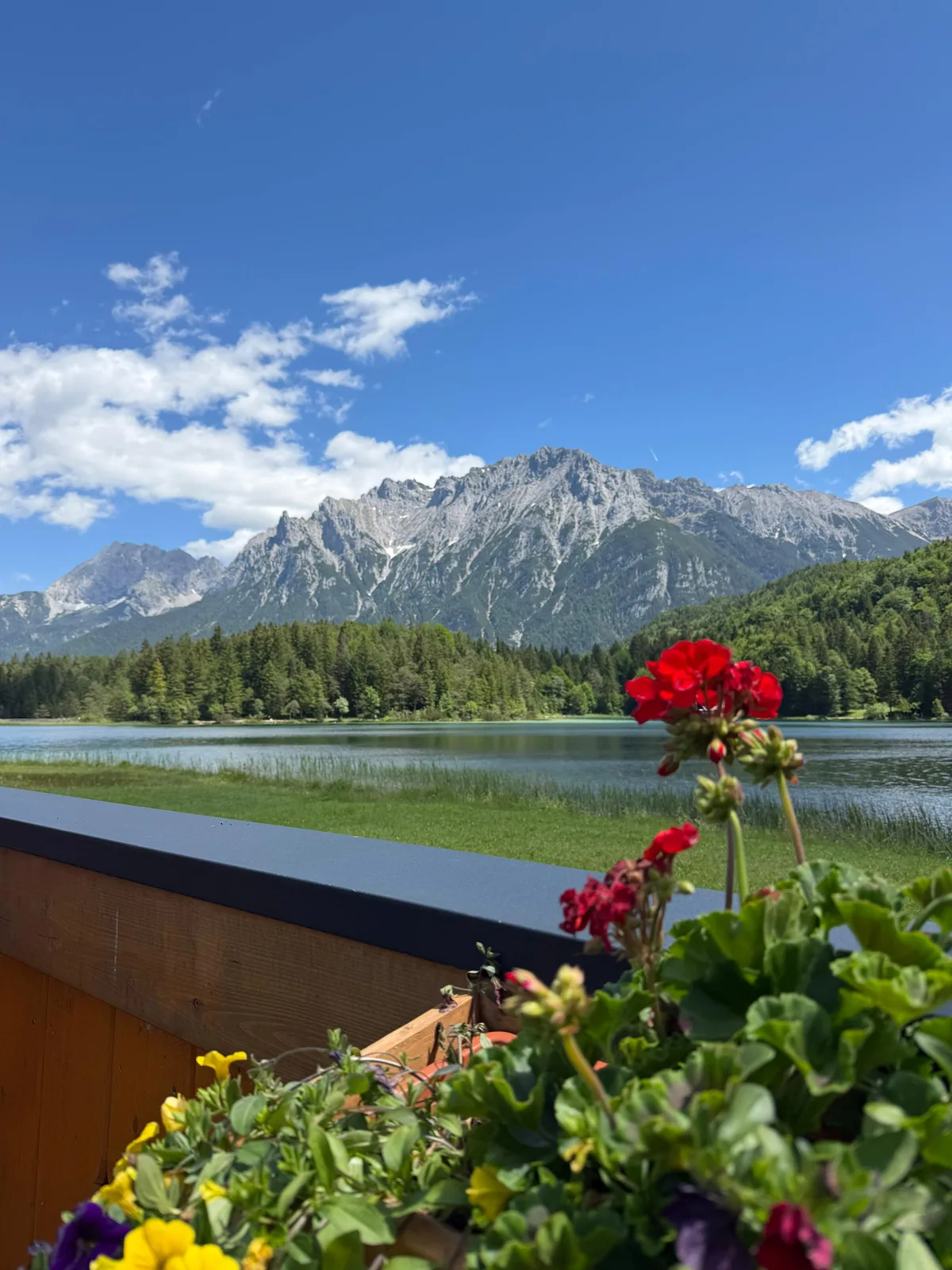 Blick über den Lautersee auf das schroffe Karwendelgebirge unter klarem blauem Himmel, mit roten Geranien im Vordergrund.